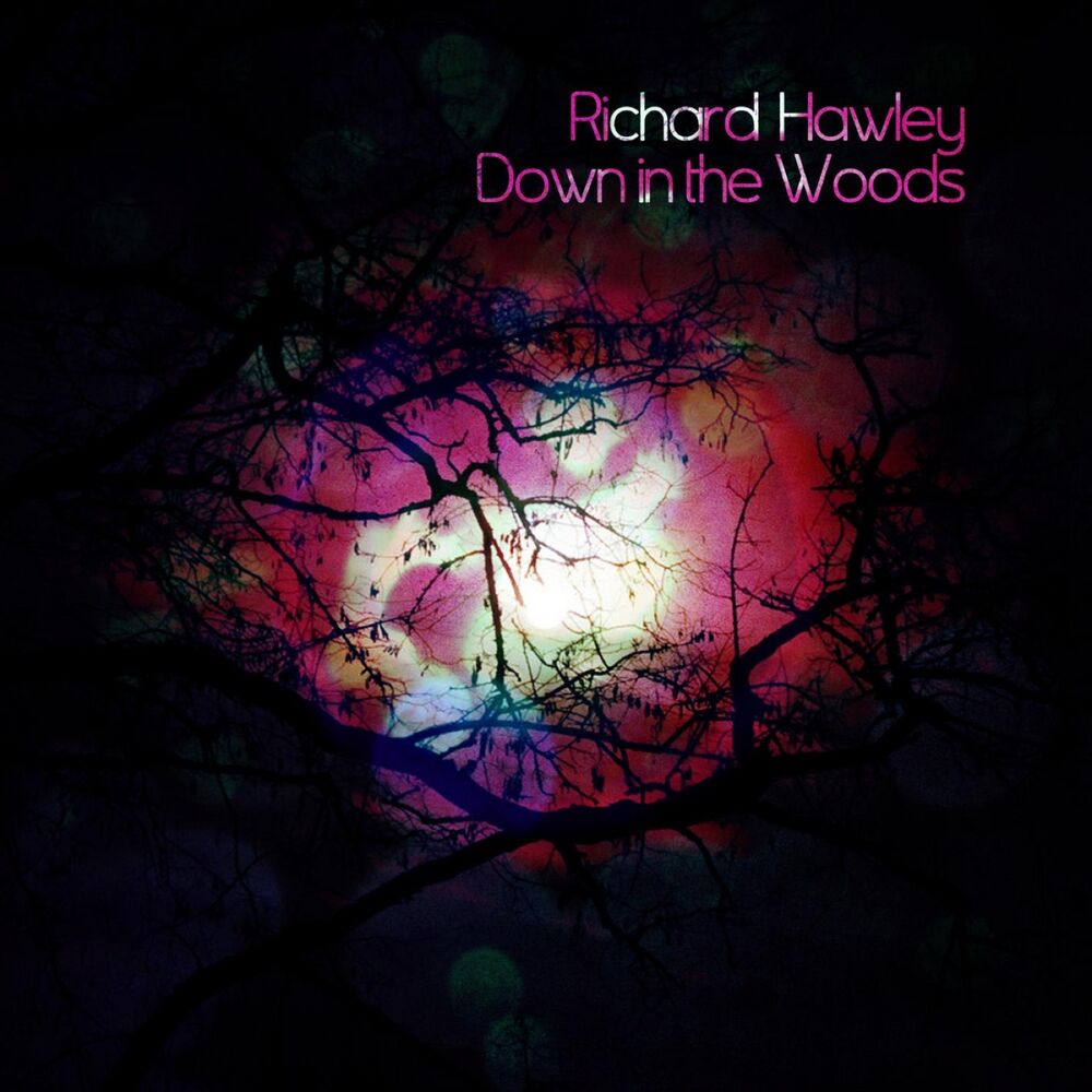 Picture of Down In The Woods
