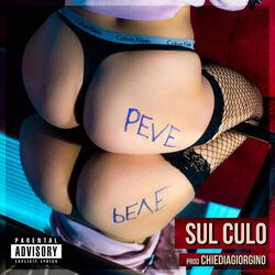 Cover of Sul Culo