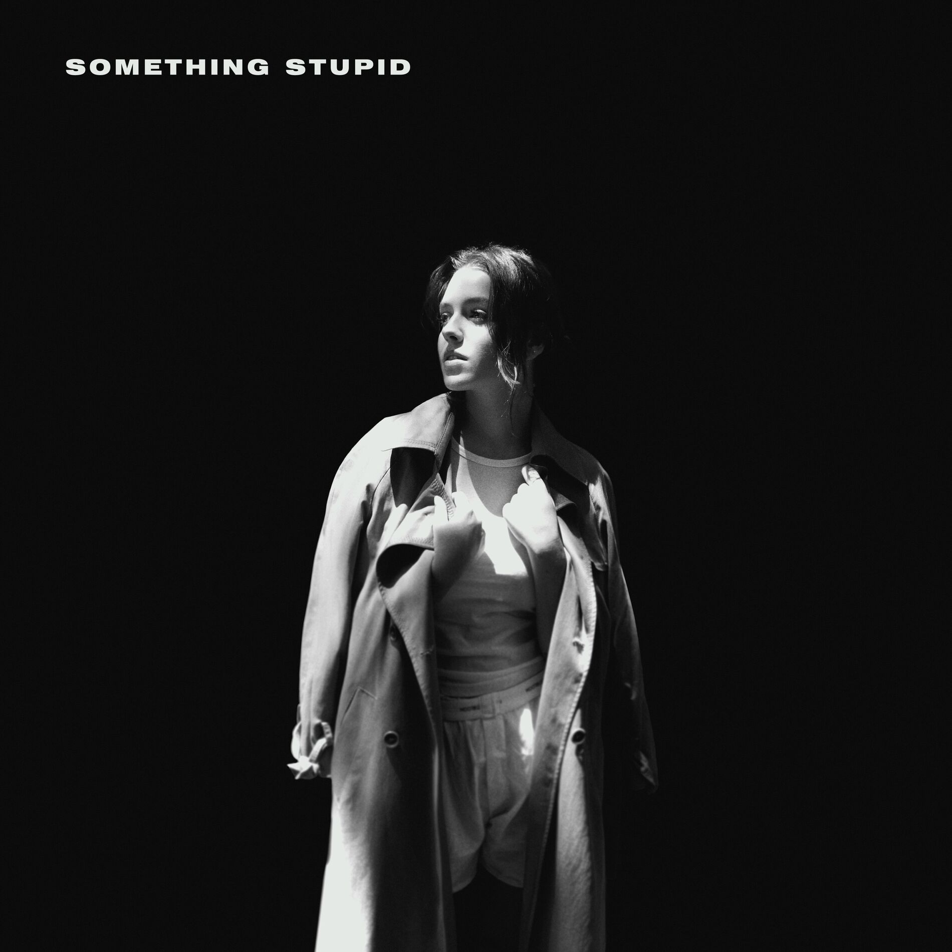 Album cover of Something Stupid