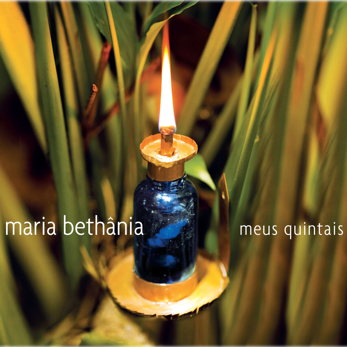 Album cover of Alguma Voz