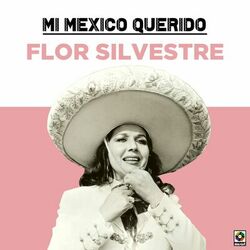 Cover of Mi Mexico Querido