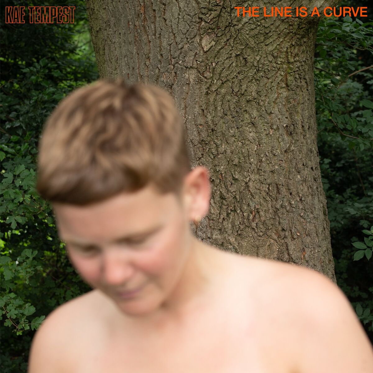 Album cover of More Pressure