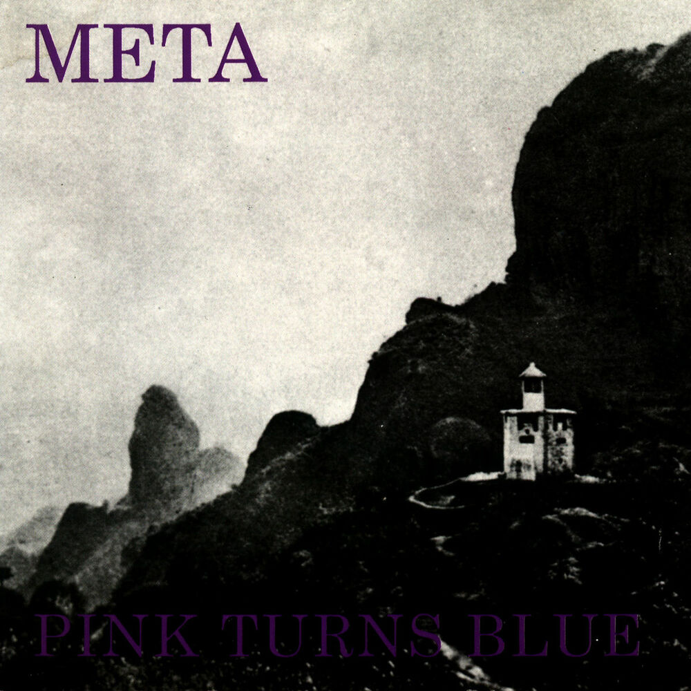 Picture of Meta