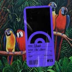 Cover of Yeah