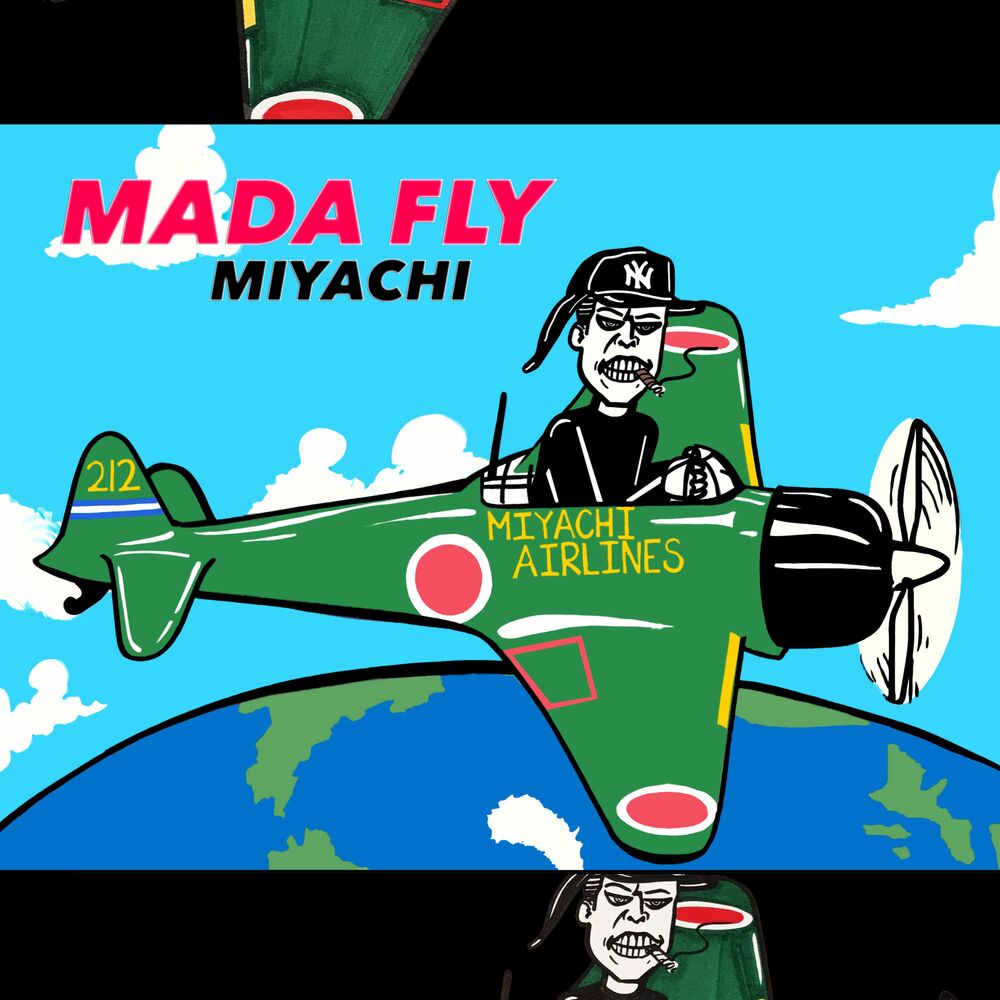 Picture of Mada Fly