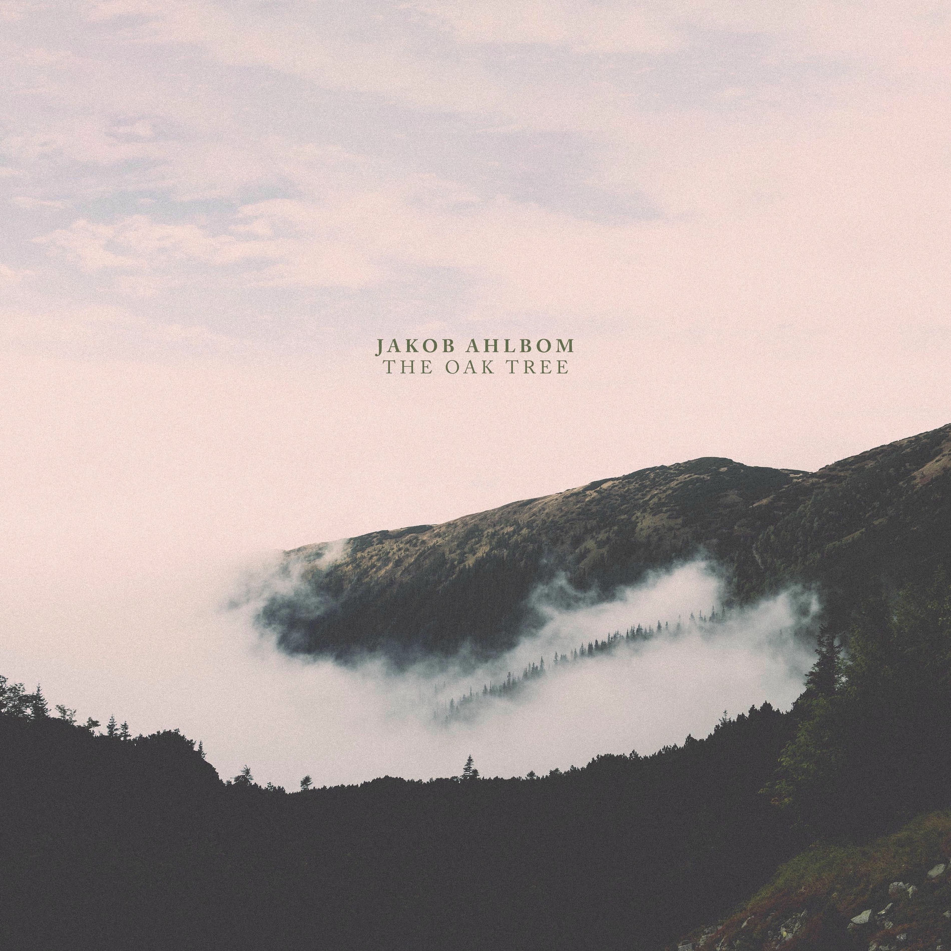 Album cover of The Oak Tree