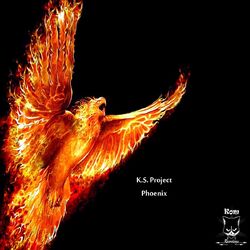 Cover of Phoenix