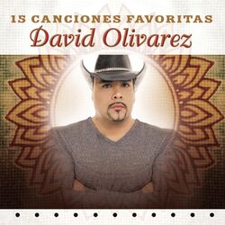 Cover of 15 Canciones Favoritas