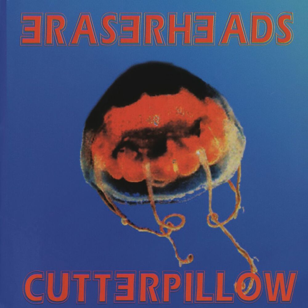 Picture of Cutterpillow