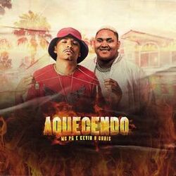 Cover of Aquecendo