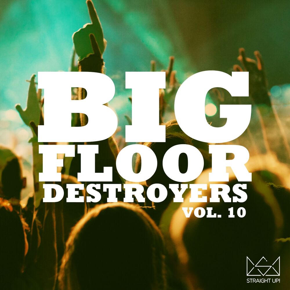 Picture of Big Floor Destroyers Vol. 10