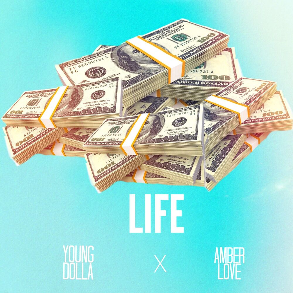 Picture of Life (feat. Young Dolla)