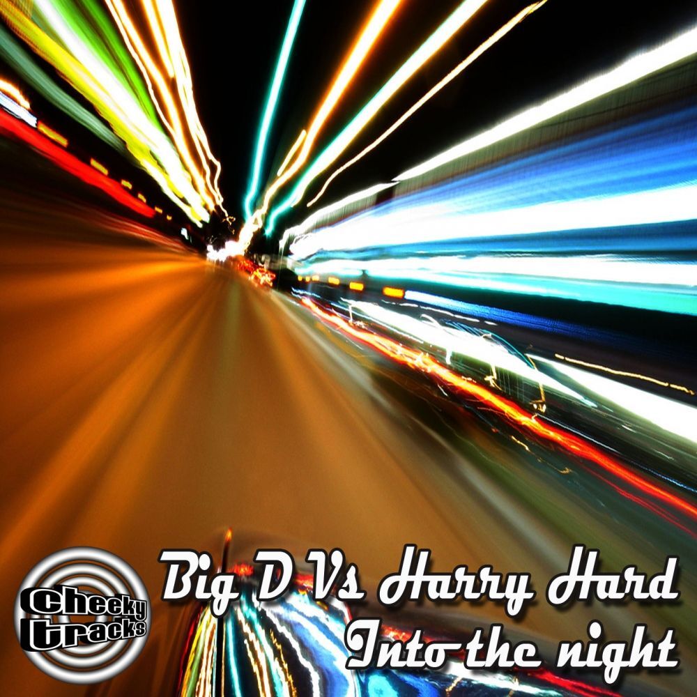 Picture of Into The Night