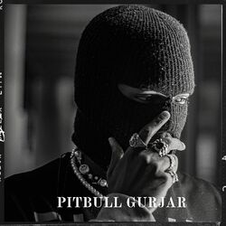 Cover of Pitbull Gurjar