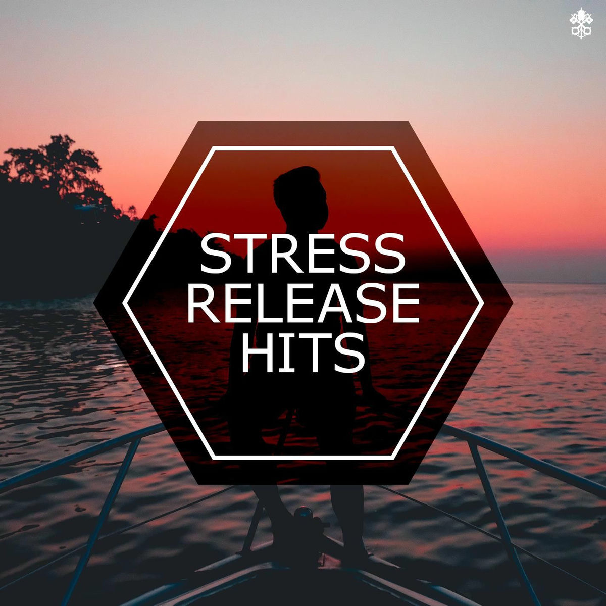 Album cover of Stress Release Hits