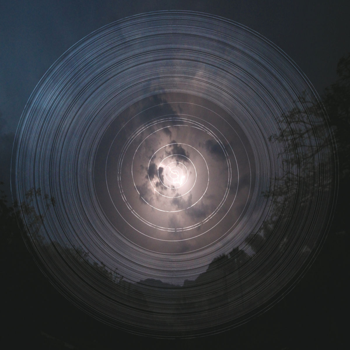 Album cover of Pájaros