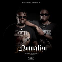 Cover of Nomalizo