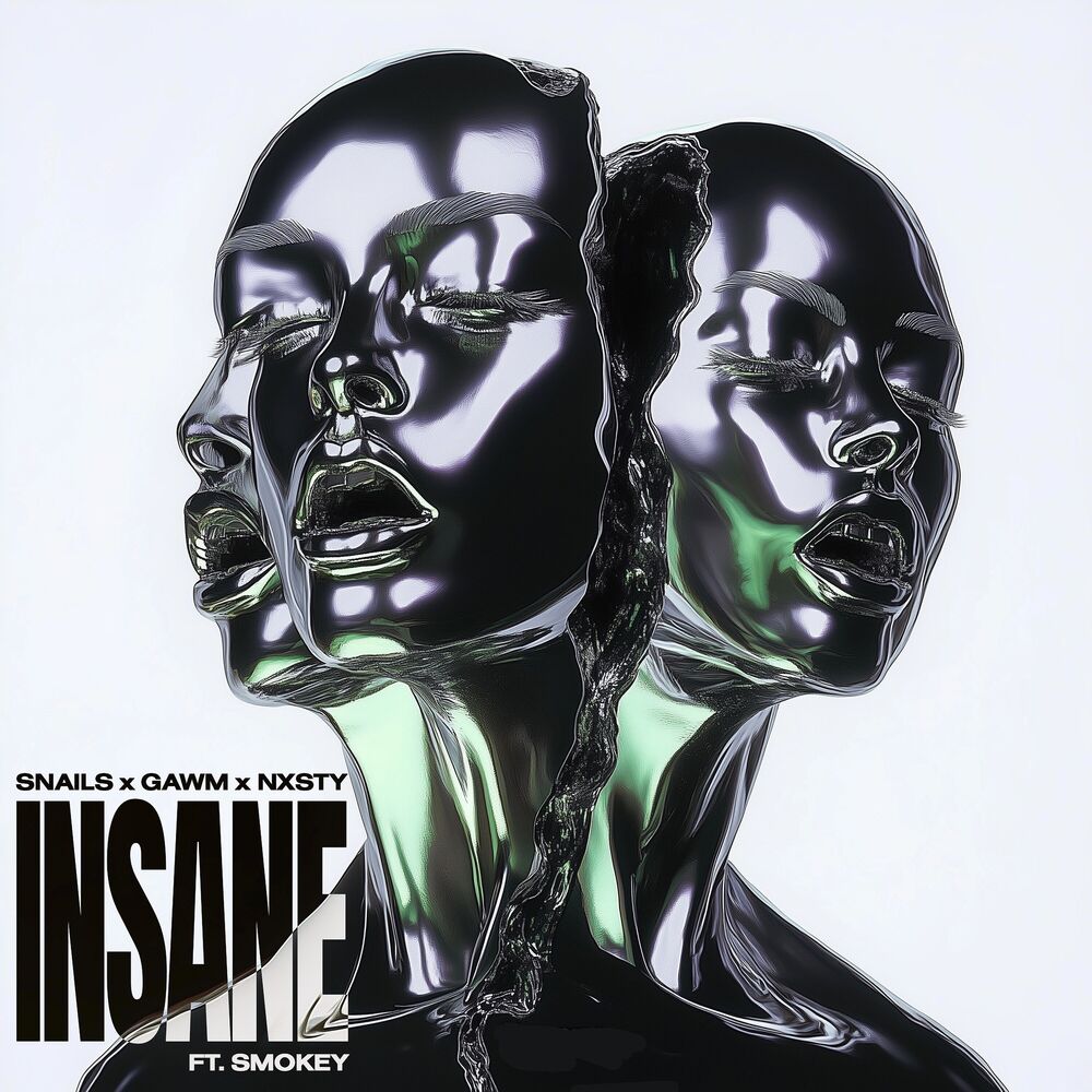 Picture of Insane (feat. Smokey)