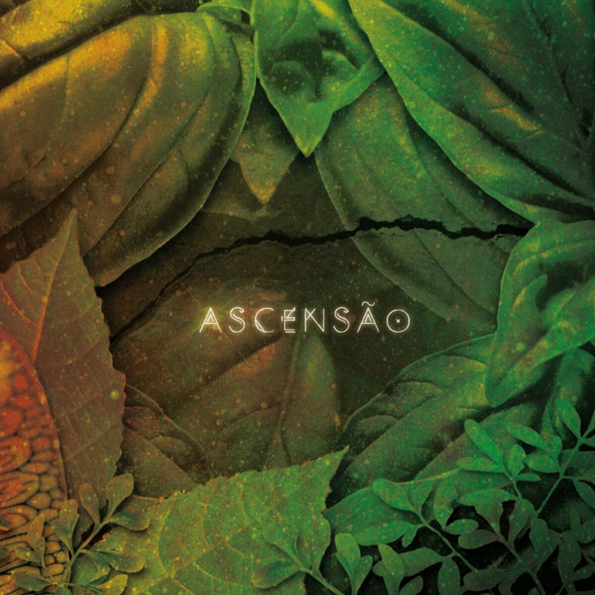 Album cover of Oxum