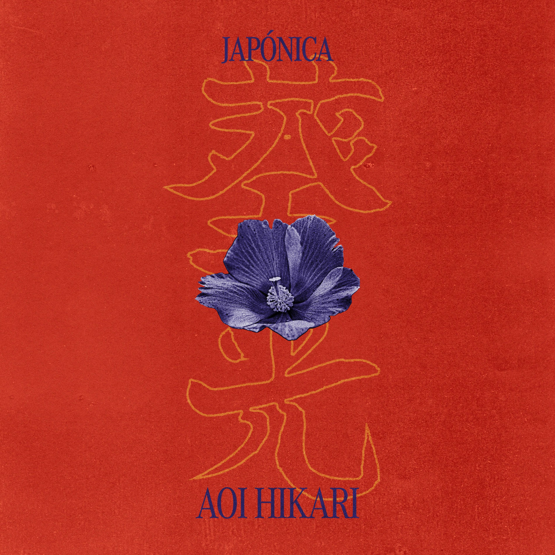 Album cover of AOI HIKARI