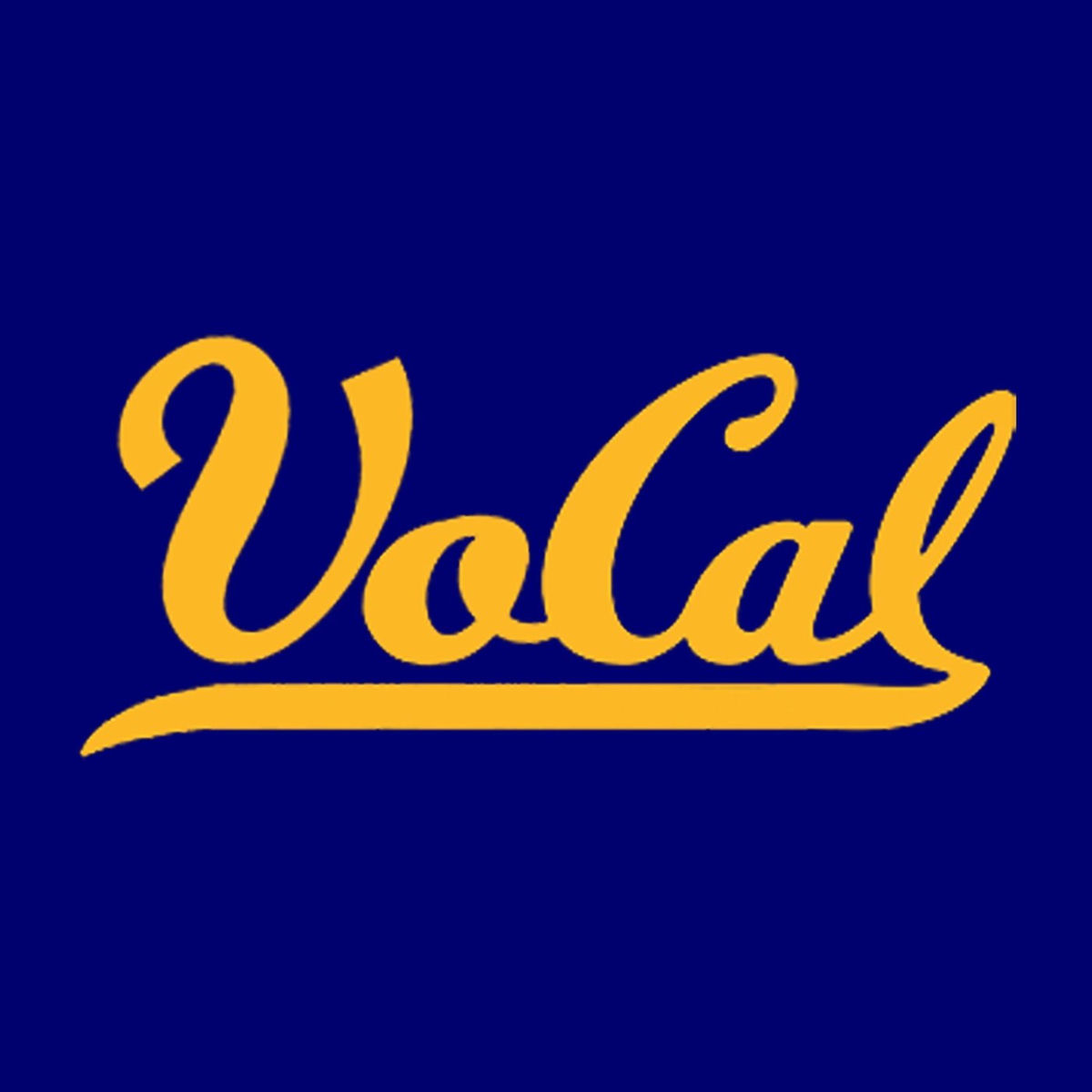 Album cover of Vocal