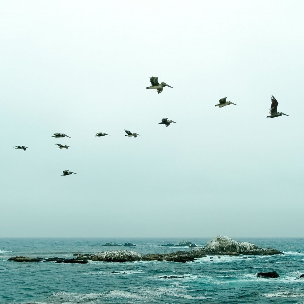 Picture of 50 Beautiful Sounds to Lull You to Sleep