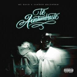 Cover of Te Acostumbraste