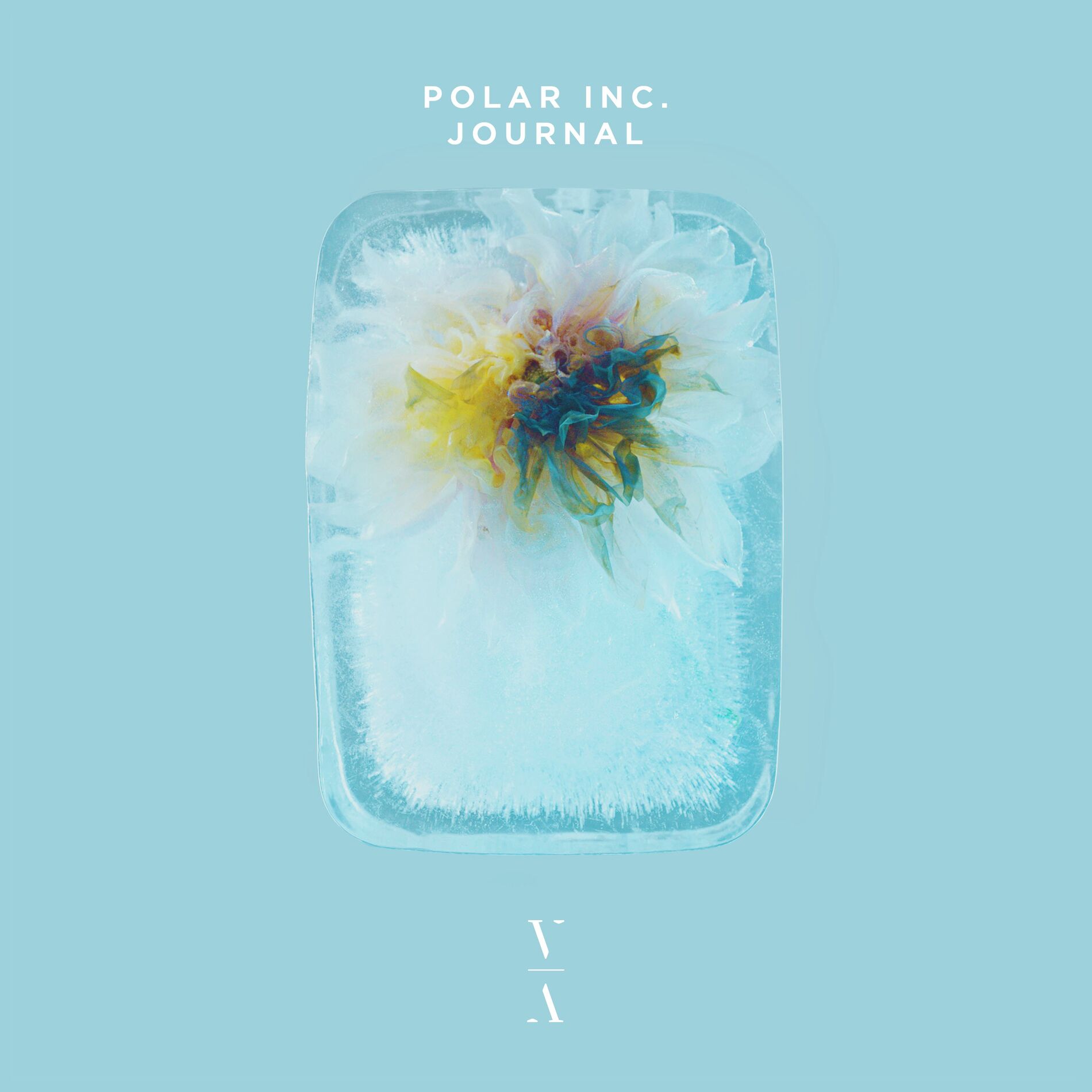 Album cover of Journal