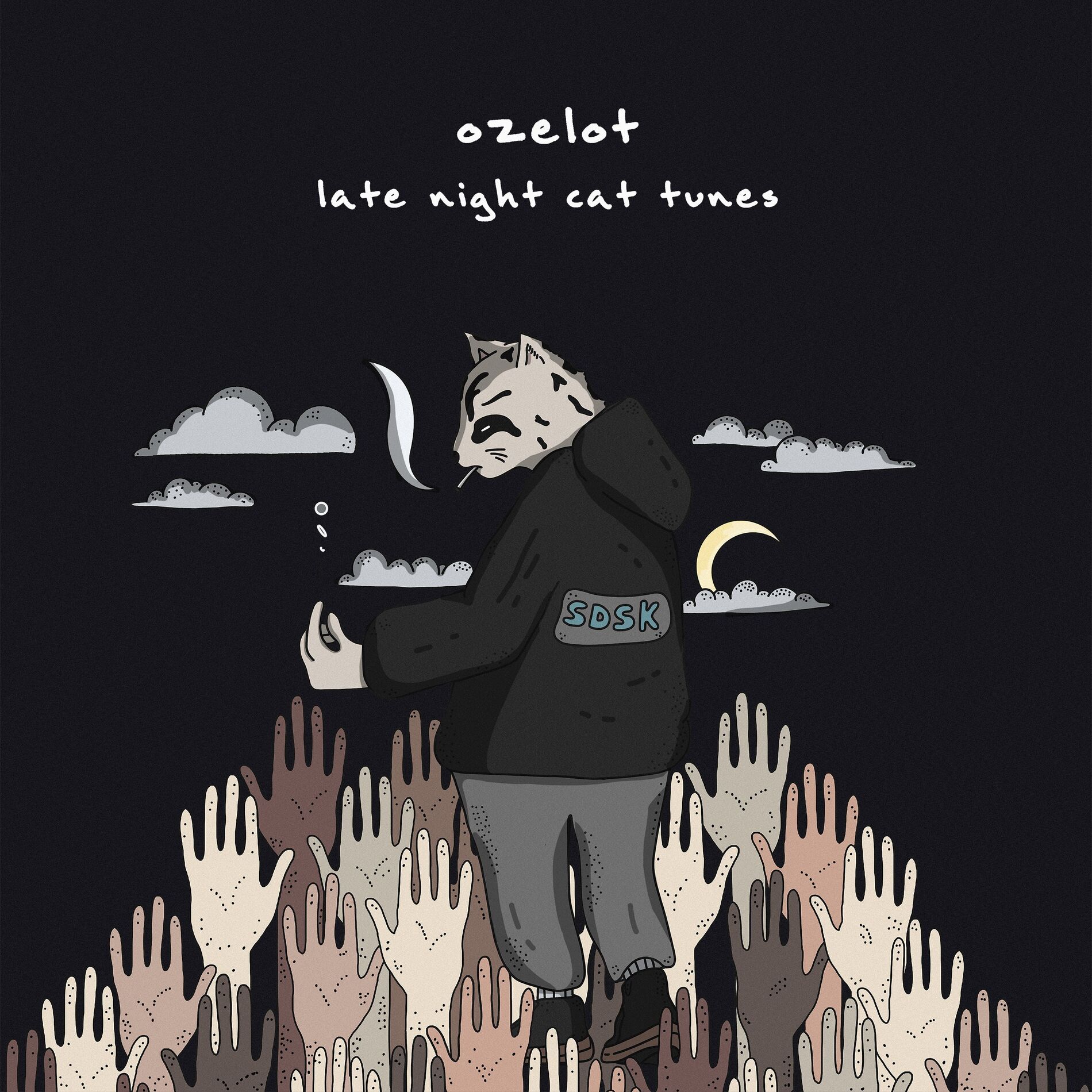 Album cover of Late Night Cat Tunes