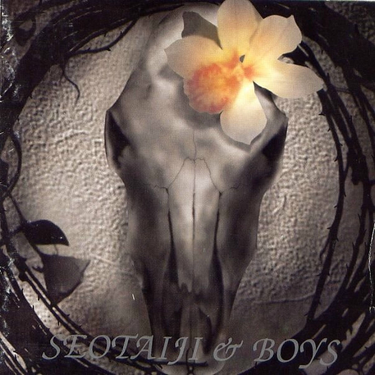 Album cover of Seotaiji and Boys IV