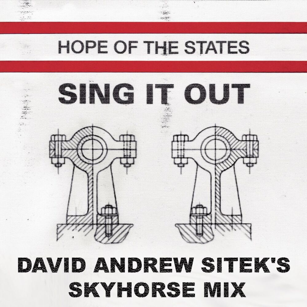 Picture of Sing It Out (David Andrew Sitek's Skyhorse Mix)