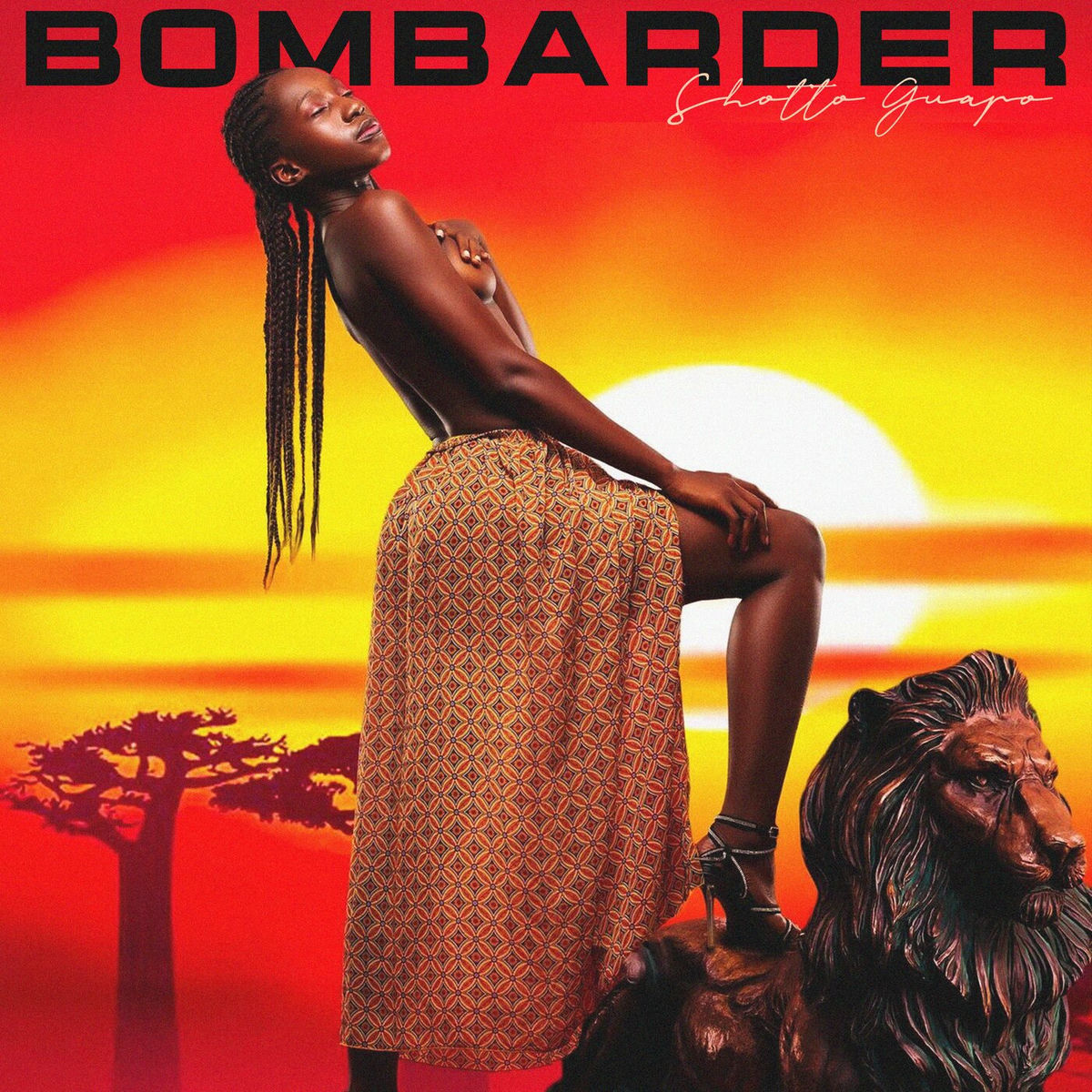 Album cover of Bombarder