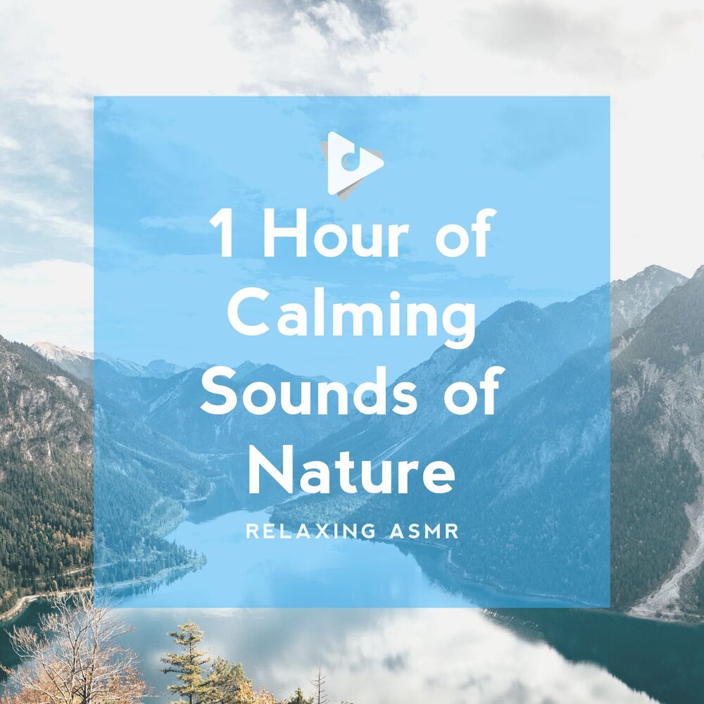 Picture of 1 Hour of Calming Sounds of Nature