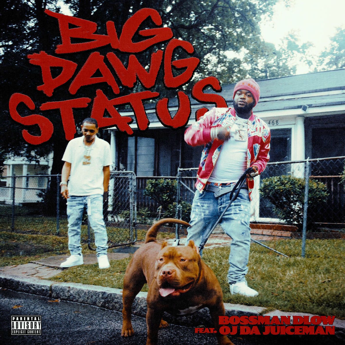Album cover of Big Dawg Status