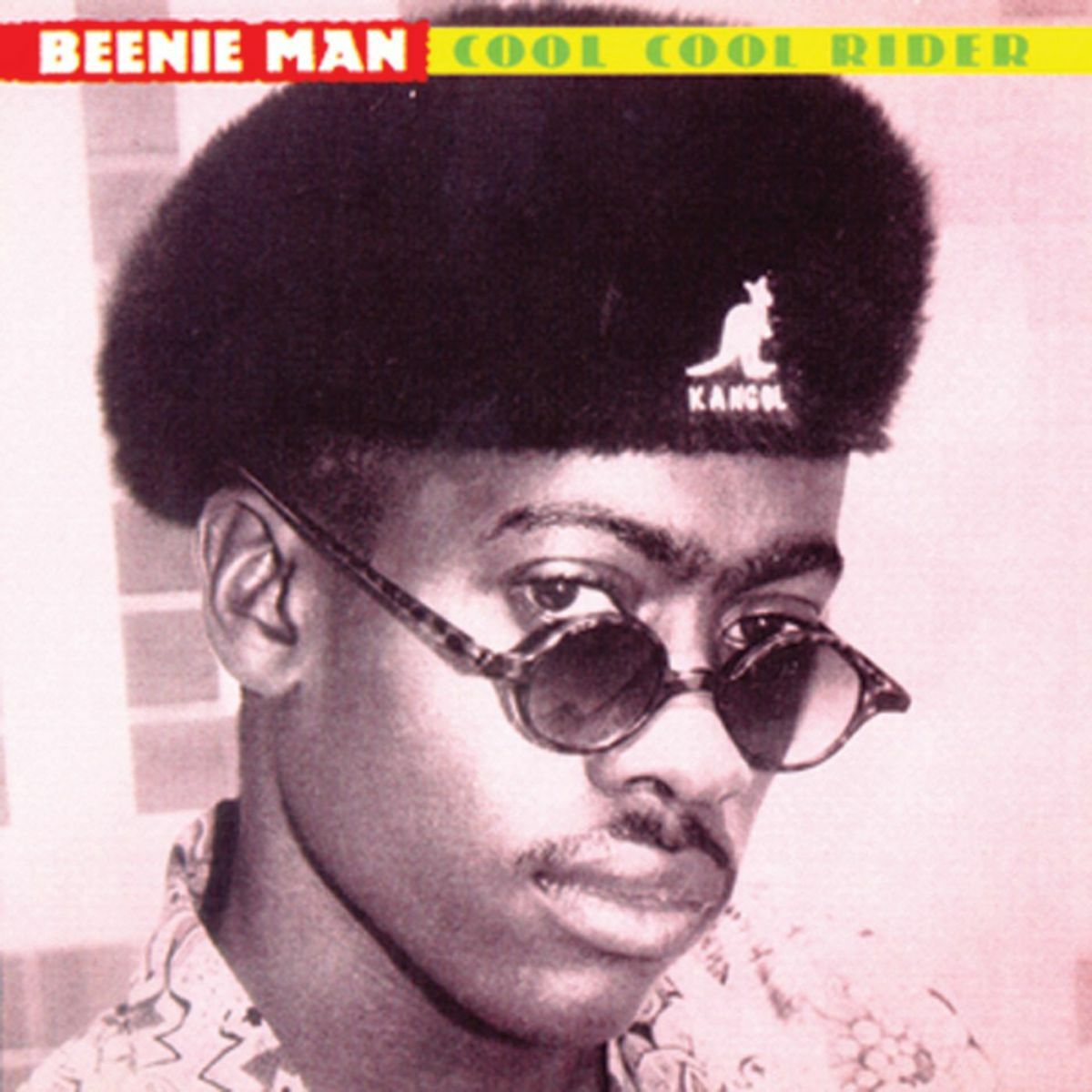Album cover of Cool Cool Rider