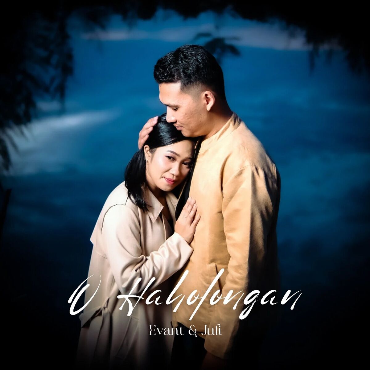 Album cover of O Haholongan