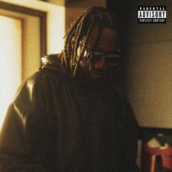 Cover of COMME NOBODY