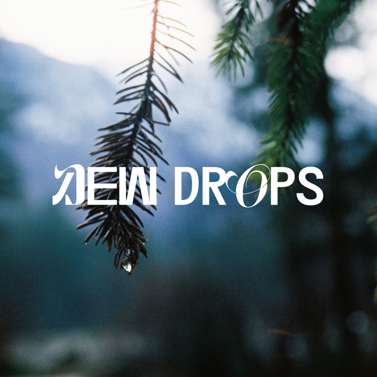 Album cover of Dew Drops