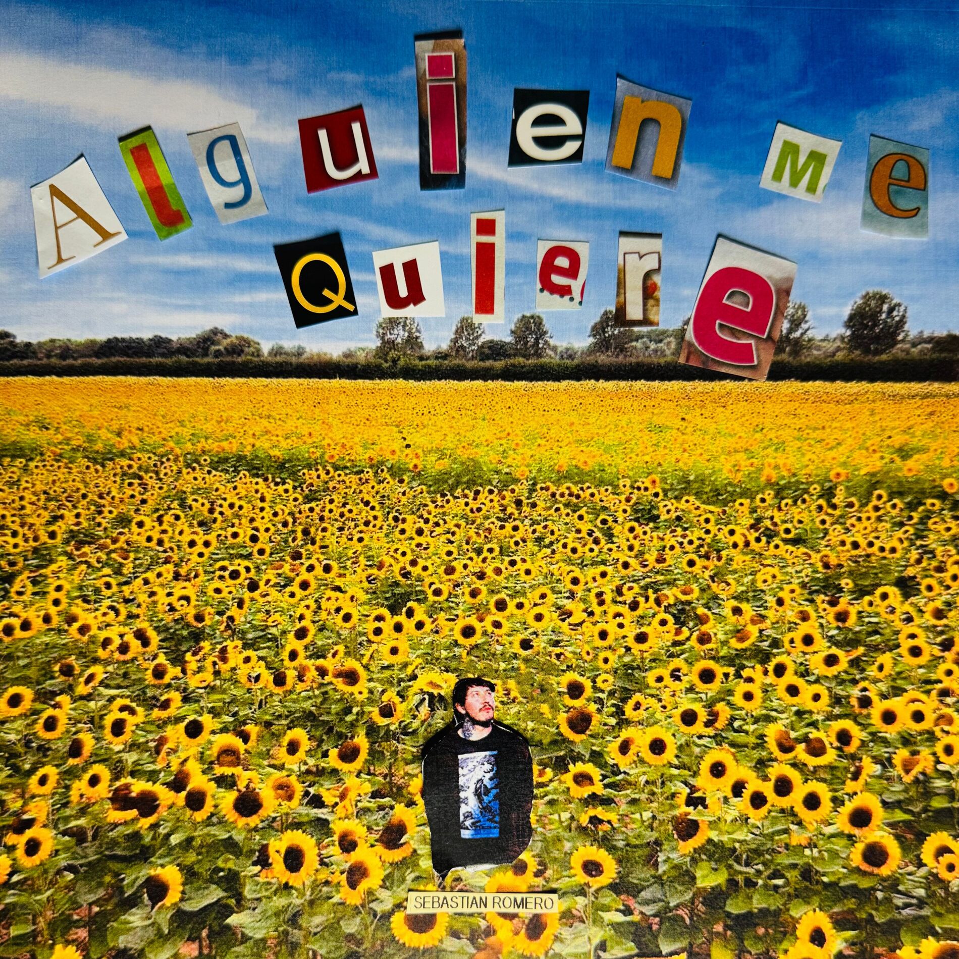 Album cover of Alguien Me Quiere