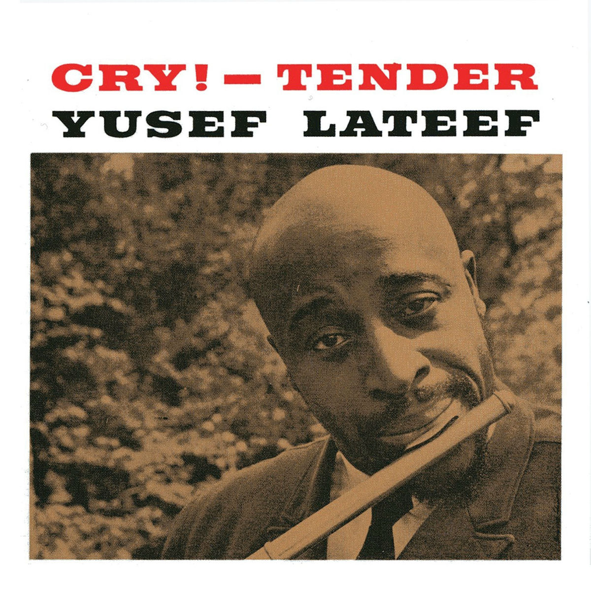 Album cover of Cry Tender (Remastered)
