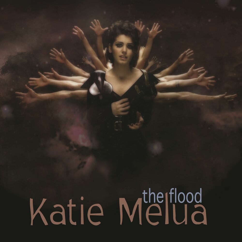 Picture of The Flood (Remixes)