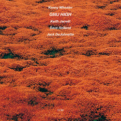 Cover of Gnu High