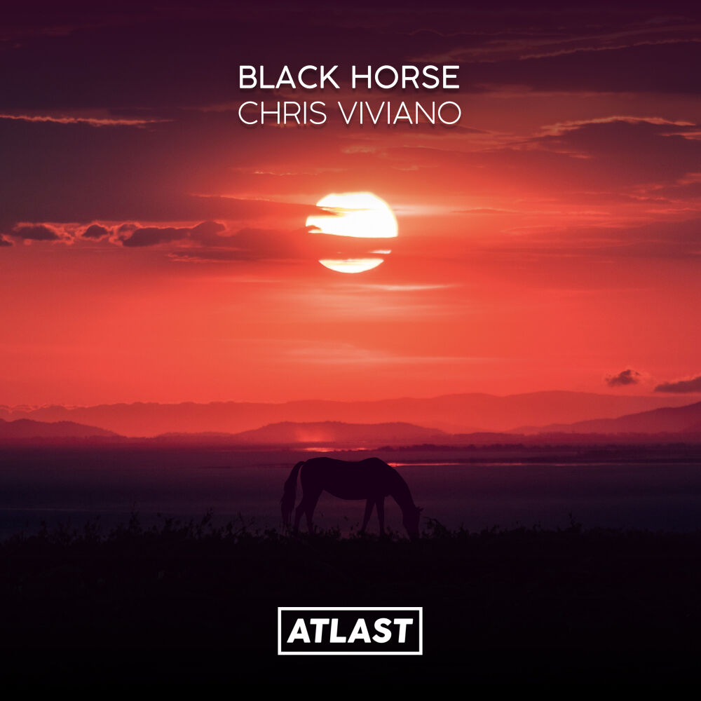 Picture of Black Horse