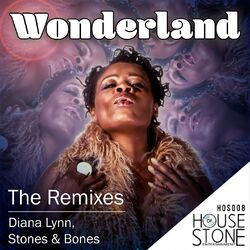 Cover of Wonderland (The Remixes)