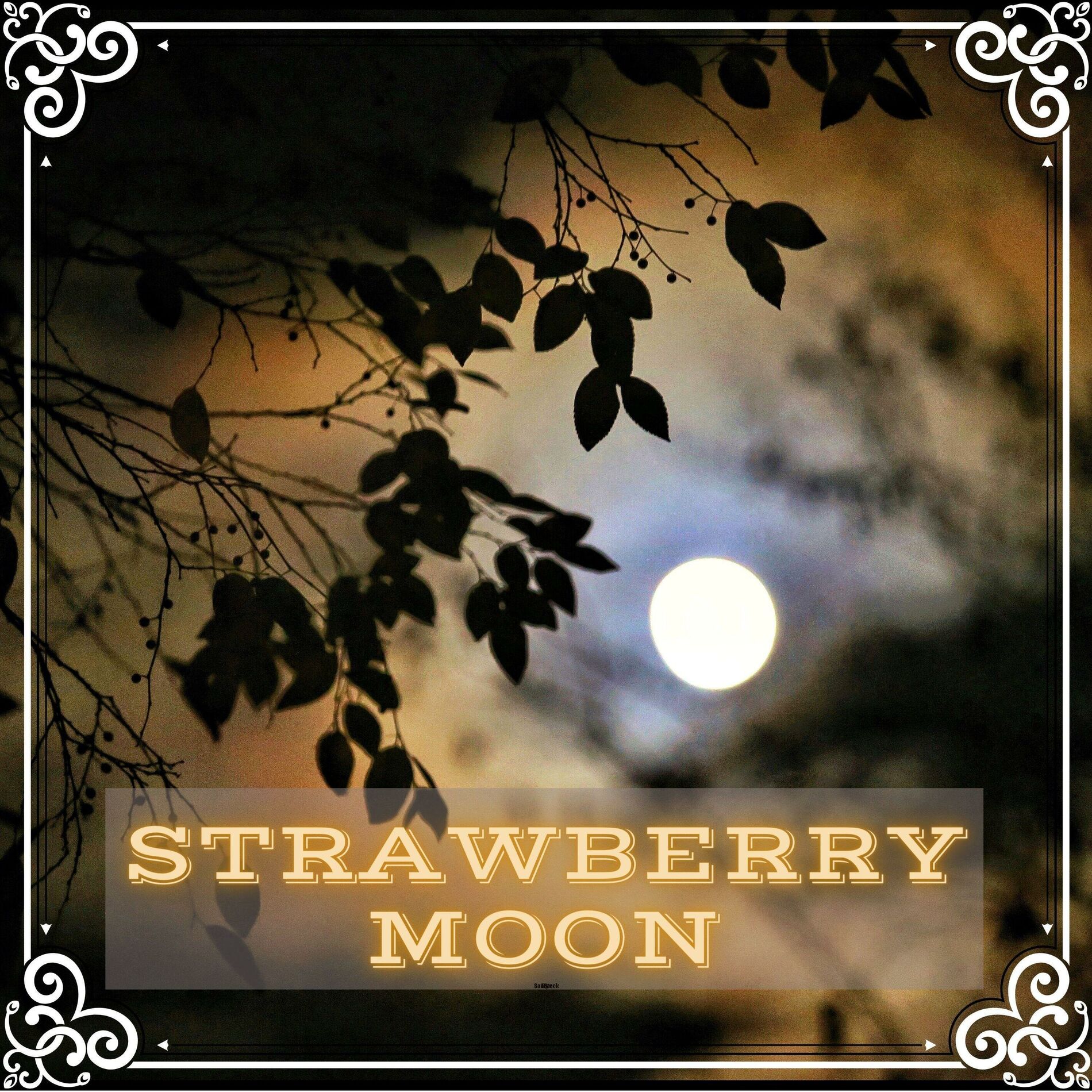 Album cover of Strawberry Moon