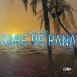 Cover of Sare Pe Rană