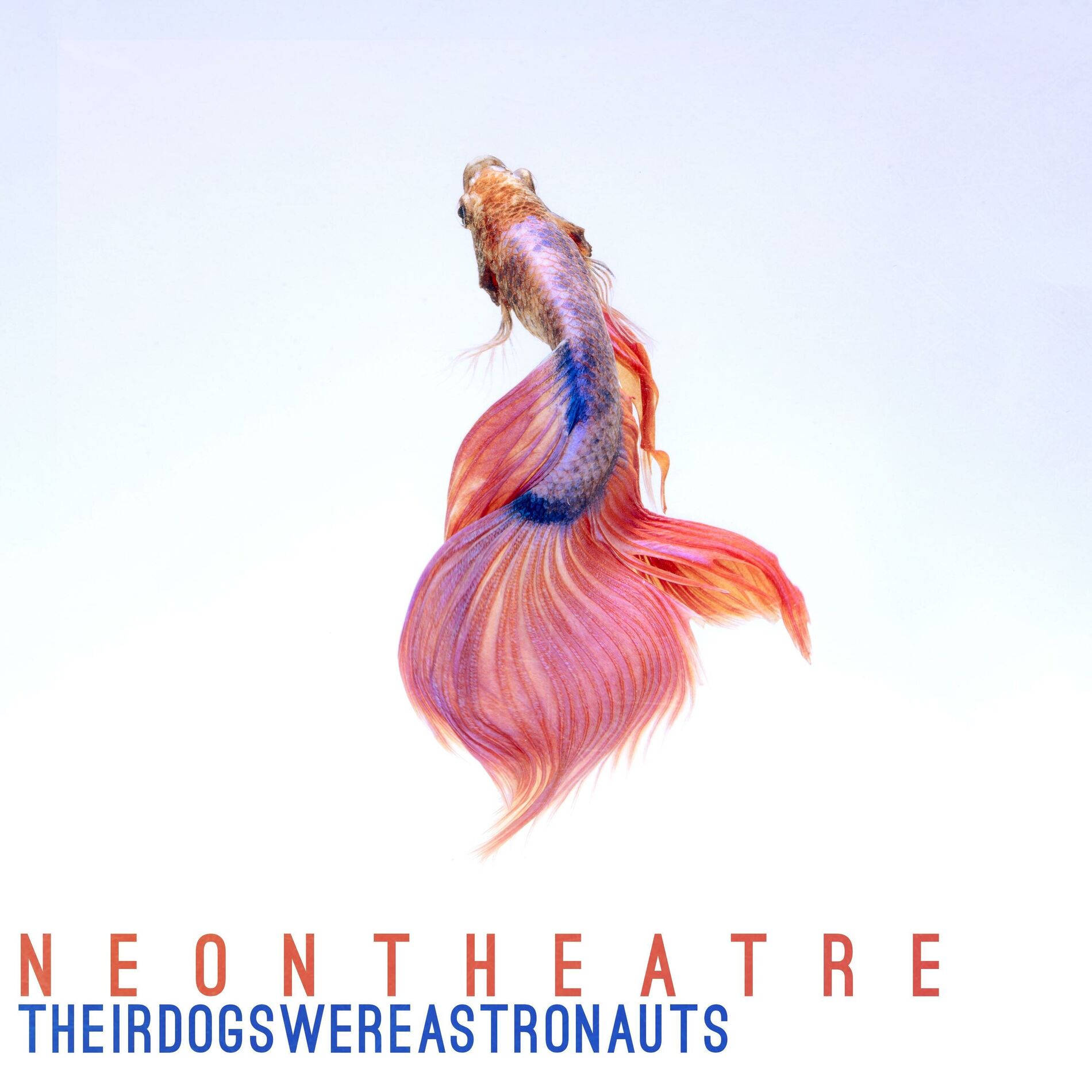 Album cover of Neon Theatre