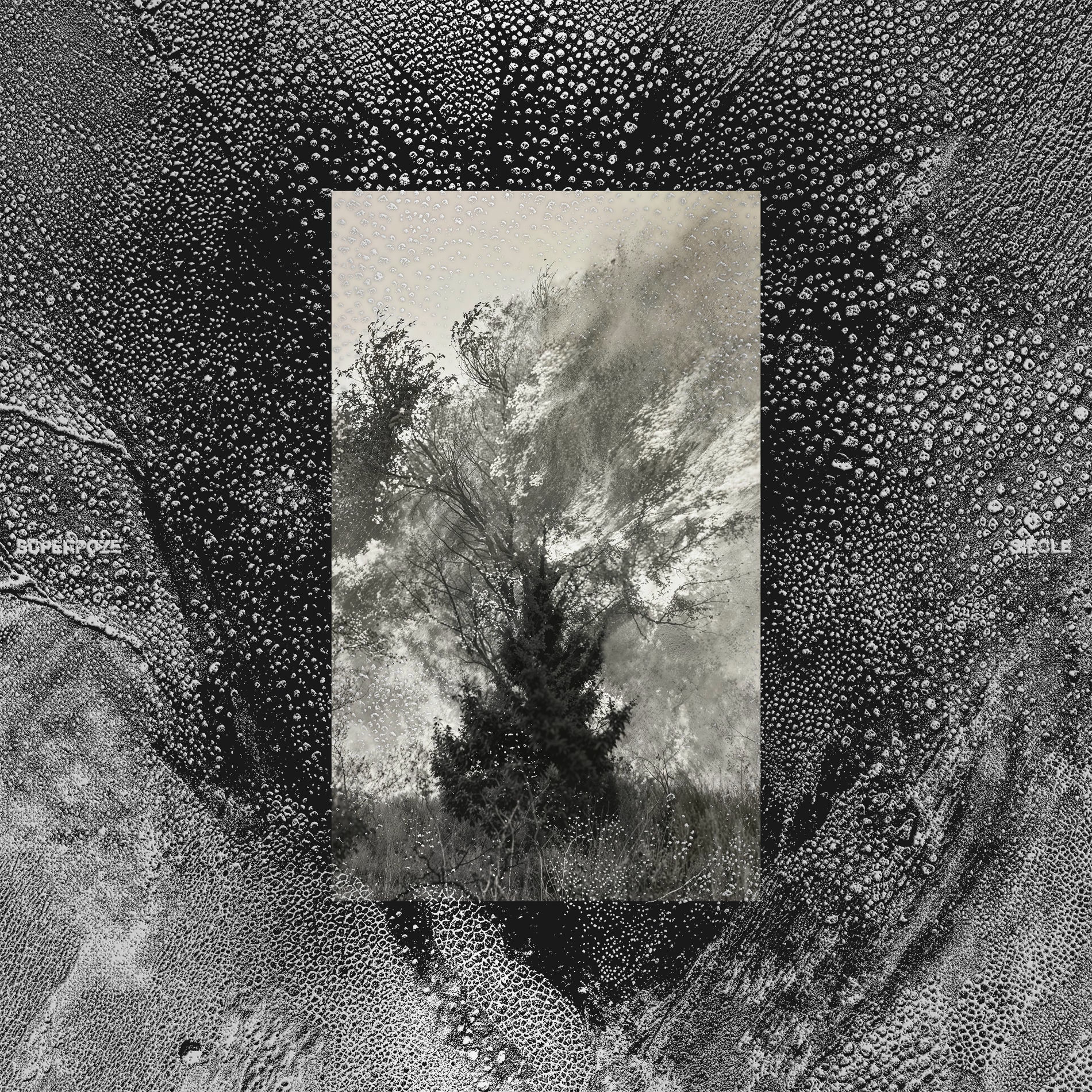Album cover of Siècle