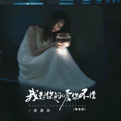 我对你的爱你不懂 (粤语版)