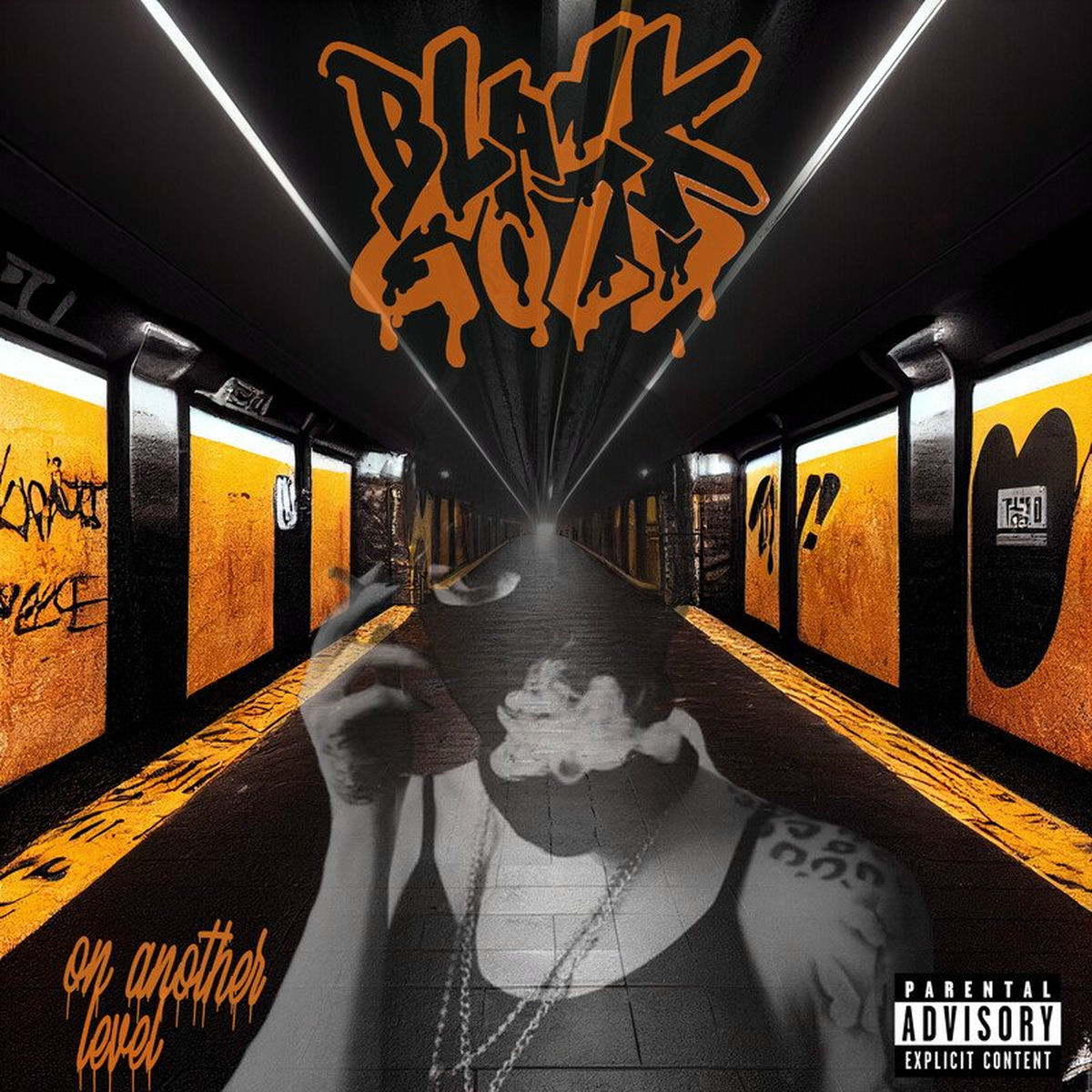 Album cover of On Another Level